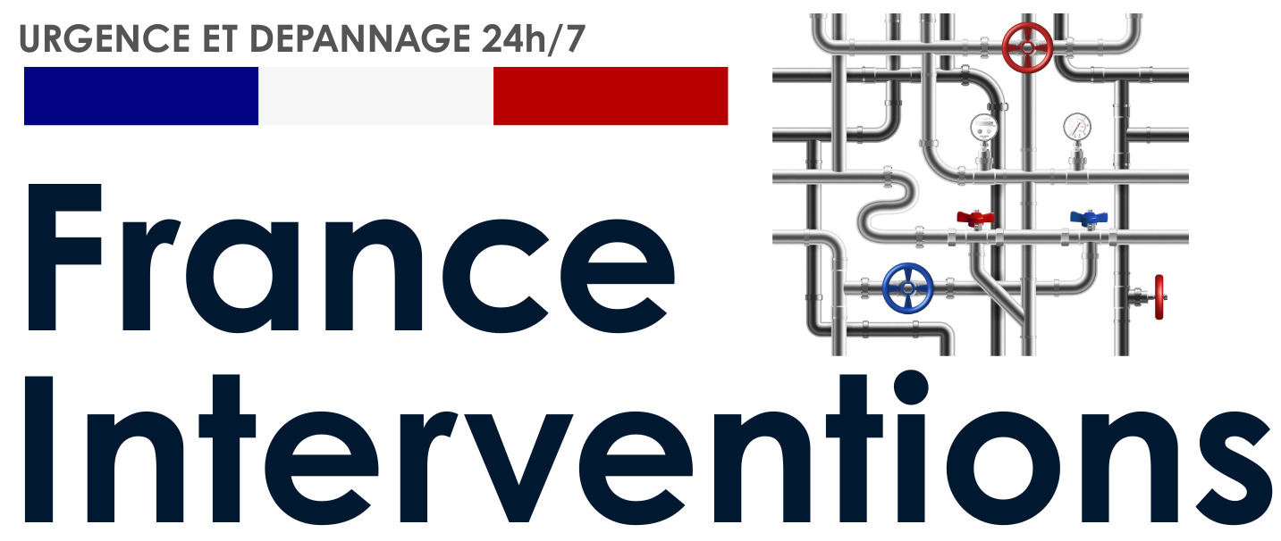 FRANCE-INTERVEN